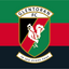 Mayo GAA Wappenflagge