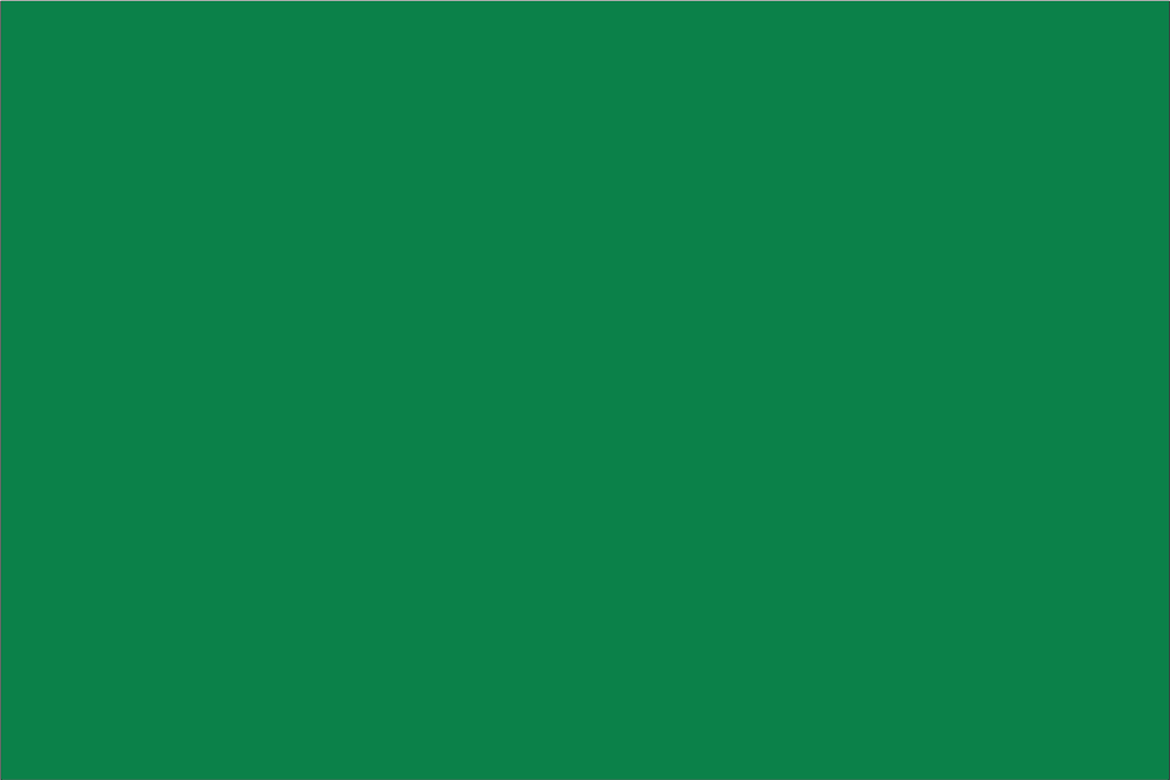 Green(National) Coloured Flag