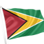 Guyana Flag
