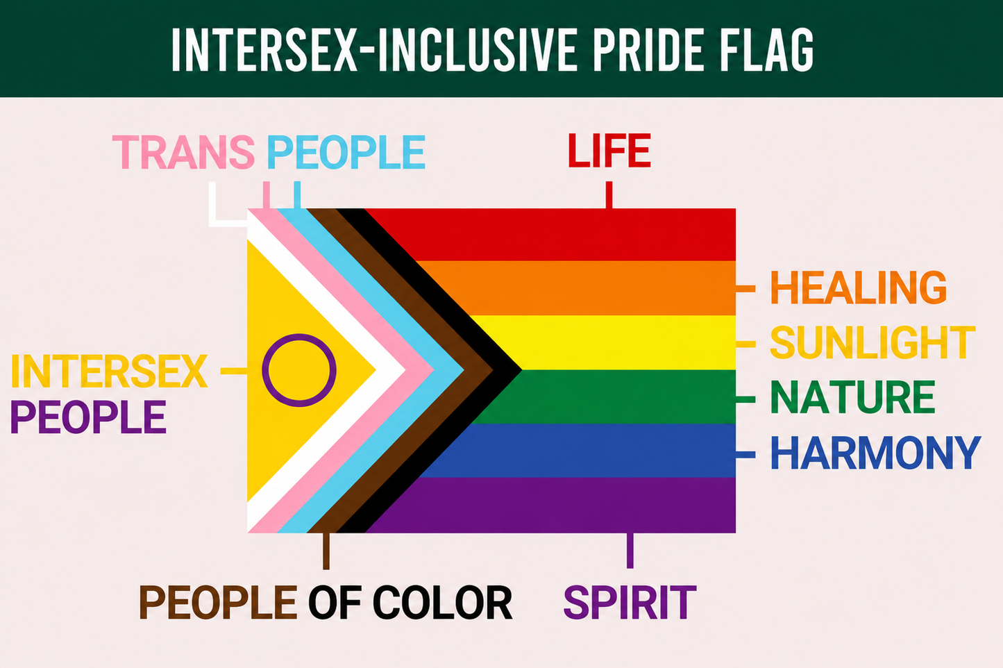 Intersex-inclusive pride flag with text labels explaining each colour meaning on a white background