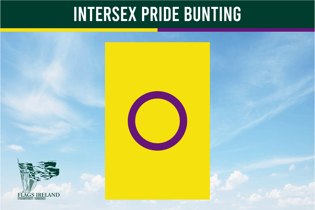 Intersex Pride Bunting