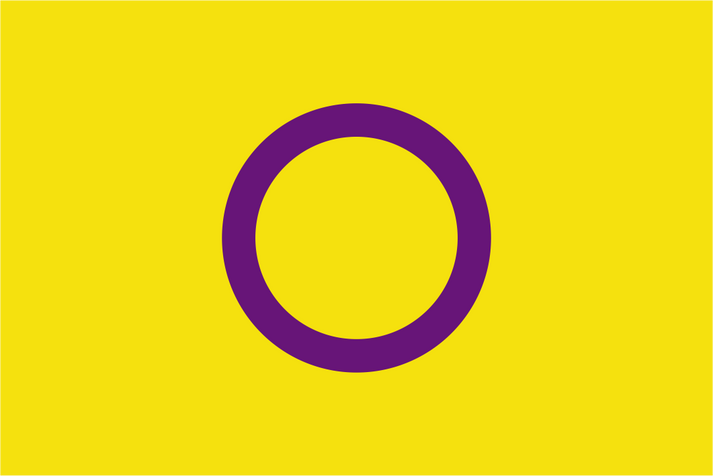 Intersex Pride Flag Flags Ireland Prospect Design