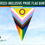 Intersex-inclusive pride flag bunting with a clear sky background, featuring the Flags Ireland logo.