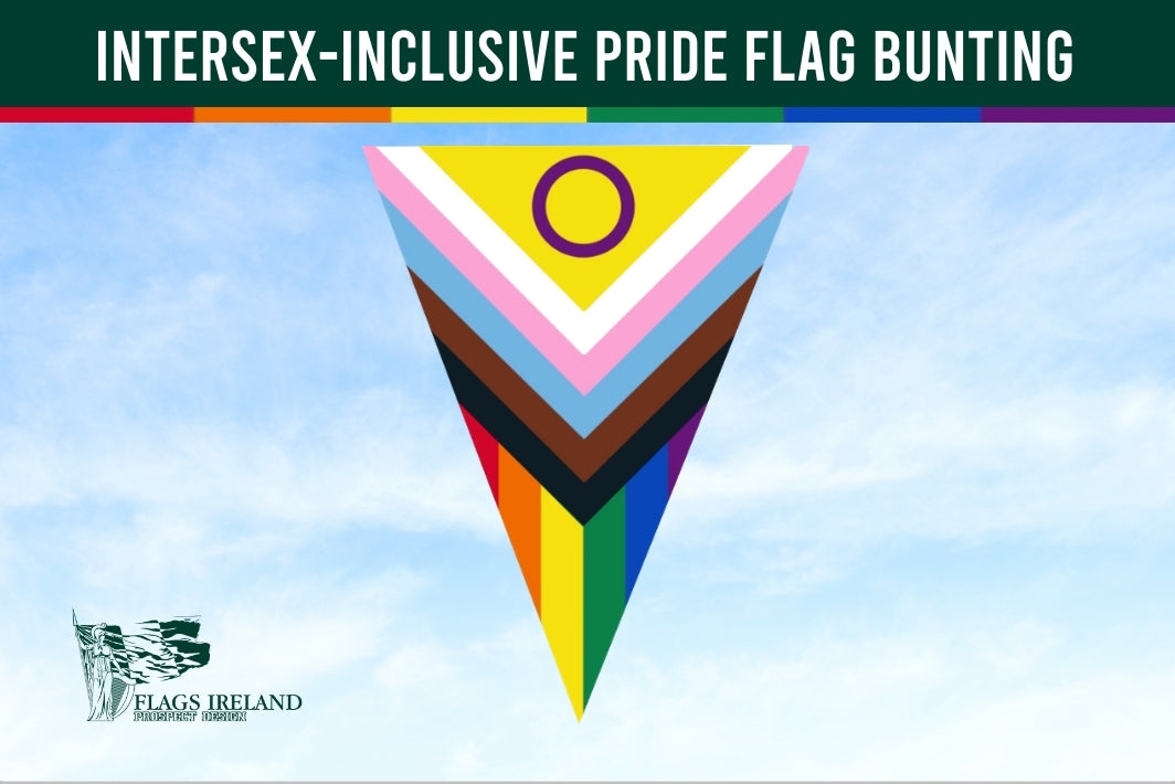 Intersex-inclusive pride flag bunting with a clear sky background, featuring the Flags Ireland logo.