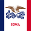 Iowa State Flag