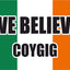 We Believe Irland-WM-Flagge