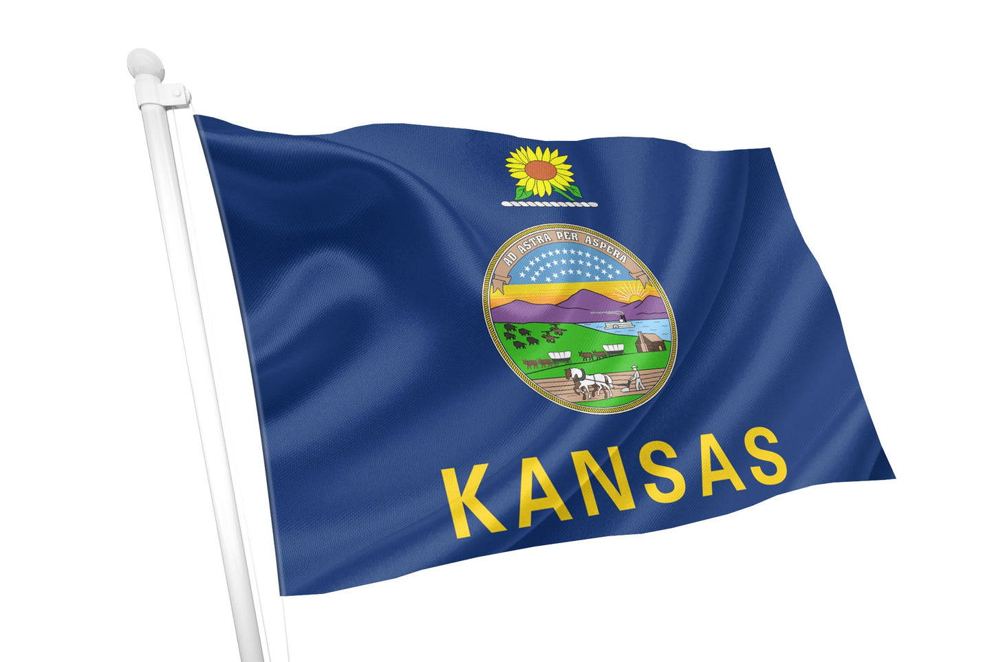 Kansas State Flag