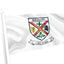 Bandeira do brasão do condado de Kildare