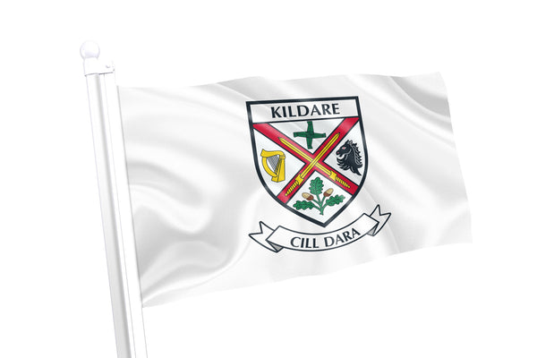 Kildare County Crest Flag