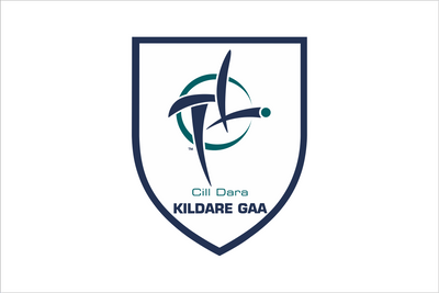 Kildare GAA Crest Handwaver Flag