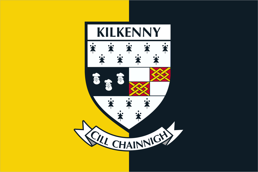 Kilkenny County Crest Handwaver Flag