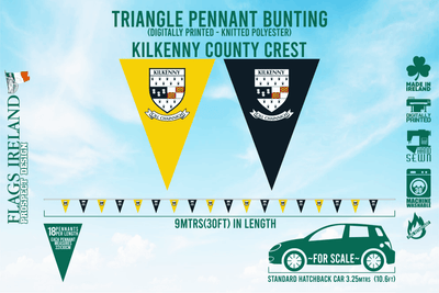 Wappenflagge des Kilkenny County
