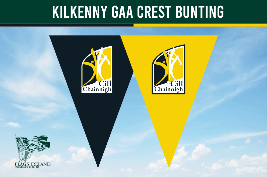 Kilkenny County GAA Wappenflagge
