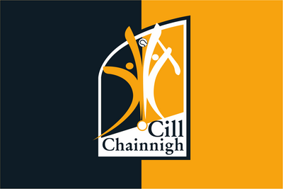 Kilkenny GAA Crest Flag
