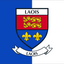 Bandeira do brasão do condado de Laois