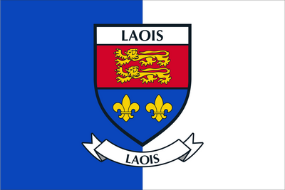 Laois County Crest Handwaver Flag