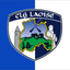 Laois GAA Wappenflagge