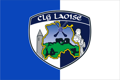 Laois GAA Crest Handwaver Flag