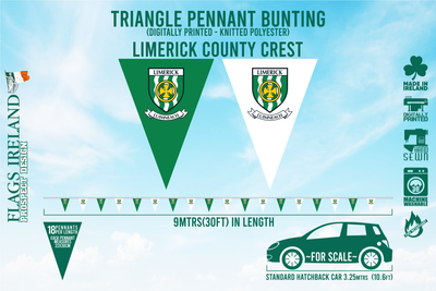 Limerick County Wappenflagge