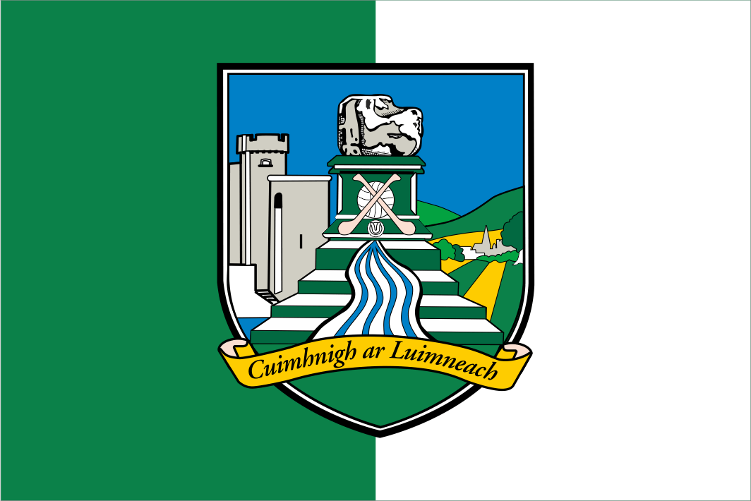 Limerick GAA Crest Handwaver Flag