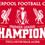 Liverpool FC – Premier League Champions Flag