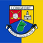 Longford GAA Crest Flag