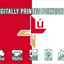 Louth GAA Crest Flag
