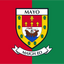 High-Quality Mayo County Flags | Made in Ireland | Custom Sizes ...