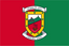 Mayo GAA Crest Handwaver Flag