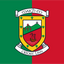 Mayo GAA Crest Flag
