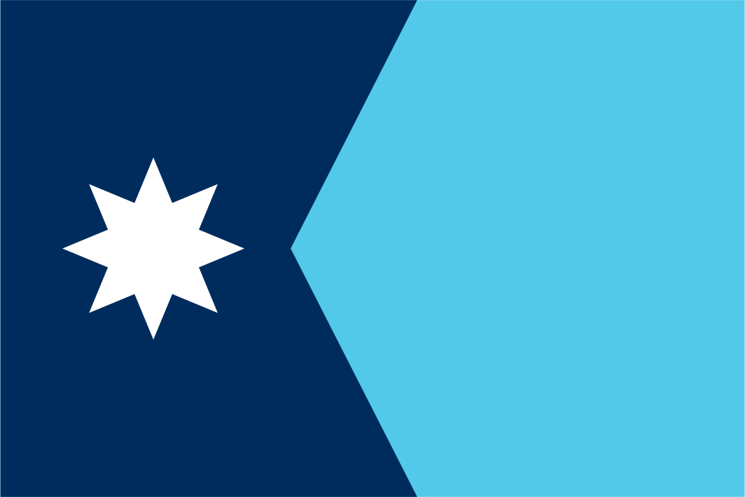 Minnesota State Flag