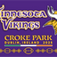 Minnesota Vikings Croke Park Purple Flag