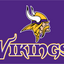 Minnesota Vikings Flag