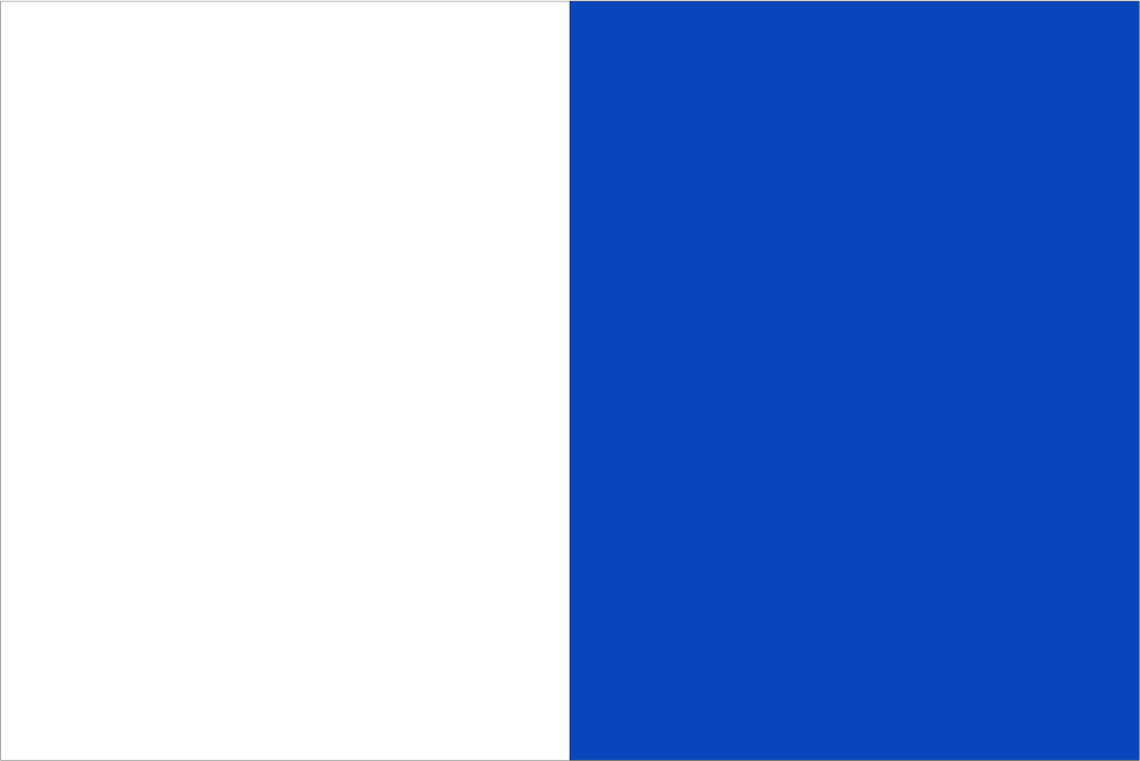 White & Blue Coloured Flag