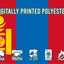 Mongolia Flag