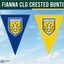 Bunting com crista GAA do condado de Cork