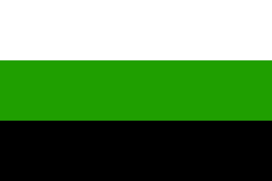 Neutrois Pride Flag Solid green color swatch