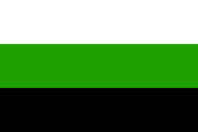 Neutrois Pride Flag Solid green color swatch