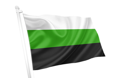 Neutrois Pride Flag with green and black design on a white background