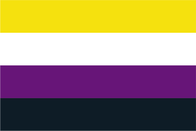 Nichtbinäre Pride-Flagge