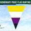nonbinary Pride Bunting triangle shape against blue sky