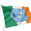 North Carolina College Ireland Flag