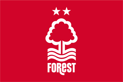 Nottingham Forest Football Club Flag