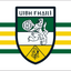 Offaly Retro GAA Supporter Flag