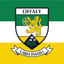 Offaly County Crest Flag