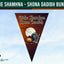 A triangular pennant flag design with Halloween-themed artwork, including a full moon, bats, a pumpkin, and a tombstone, with the text 'Oíche Shamhna Shona Daoibh Bunting' at the top. The pennant is centered on a pale blue sky background, with a dark green banner across the top and a small 'Flags Ireland' logo in the lower left.