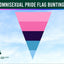Omnisexual pride flag bunting with a blue sky background and Flags Ireland logo.