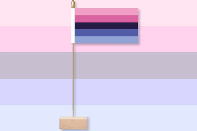 Omnisexual pride flag on a wooden stand against a multicolored striped background. Table Flag, Desk Table Flag
