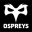 Ospreys Rugby flag designed for supporters and sports events. Black and white colours