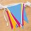 Painted Sunset Glow Bunting